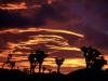 Sunset, Joshua Tree National Park, California
